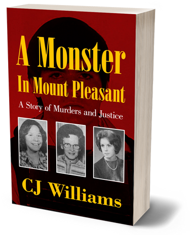 A Monster in Mount Pleasant (Paperback)